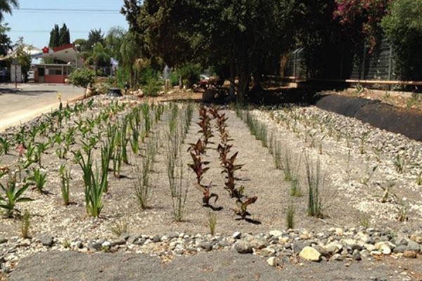 L’Oréal cosmetic industrial sewage, Israel