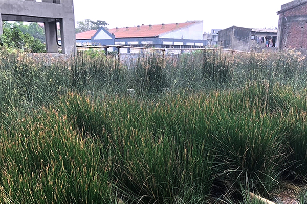 Nikunj textile vapi, India